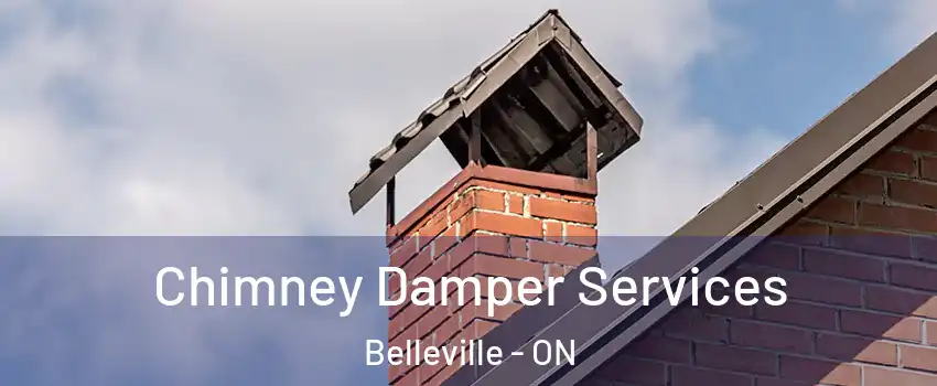 Chimney Damper Services Belleville - ON