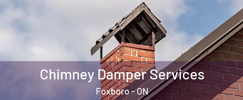  Chimney Damper Services Foxboro - ON