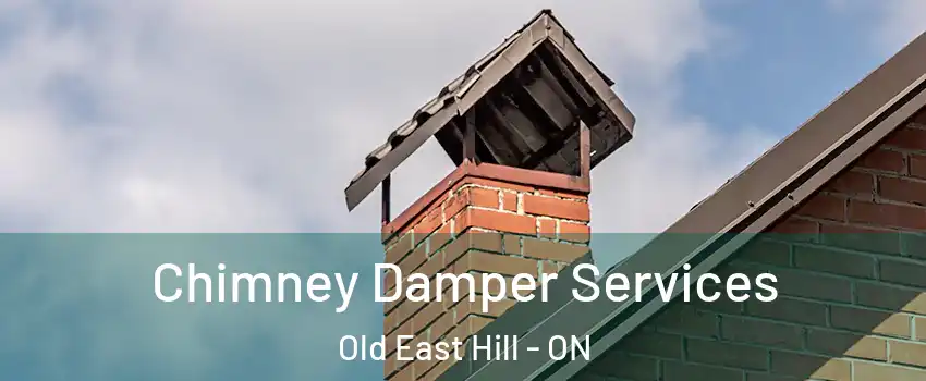  Chimney Damper Services Old East Hill - ON