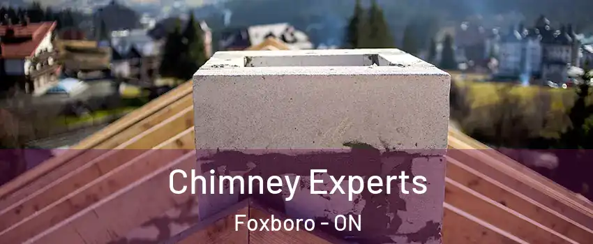 Chimney Experts Foxboro - ON