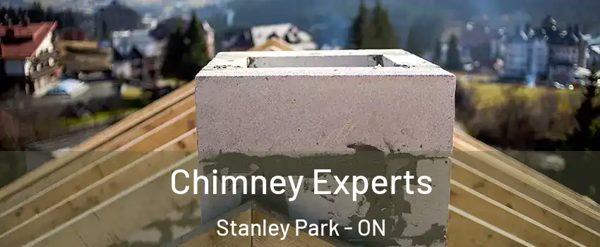 Chimney Experts Stanley Park - ON