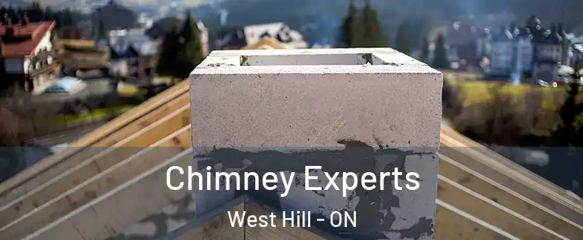 Chimney Experts West Hill - ON