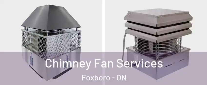  Chimney Fan Services Foxboro - ON
