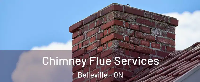 Chimney Flue Services Belleville - ON