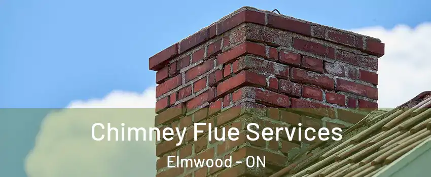 Chimney Flue Services Elmwood - ON