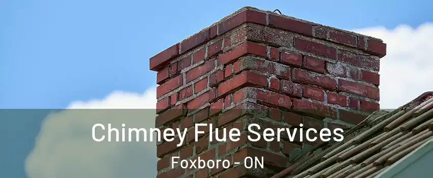  Chimney Flue Services Foxboro - ON