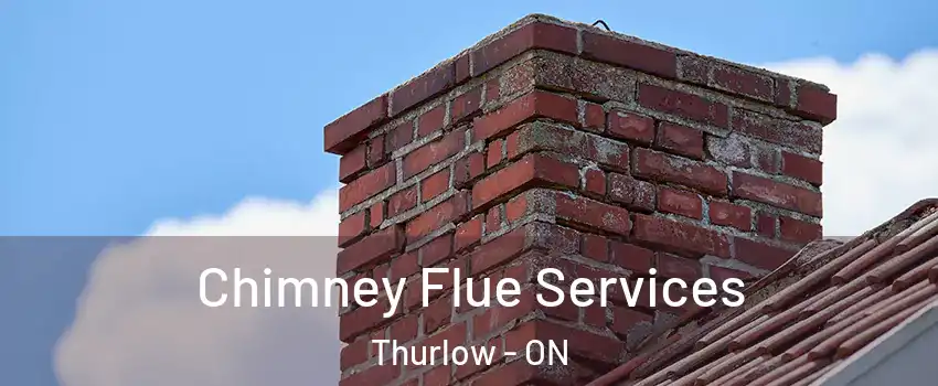  Chimney Flue Services Thurlow - ON