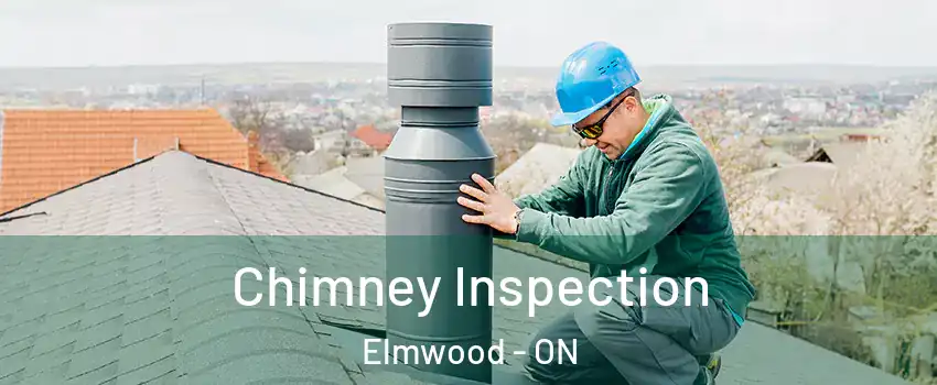 Chimney Inspection Elmwood - ON
