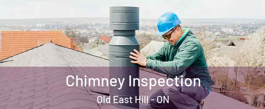  Chimney Inspection Old East Hill - ON