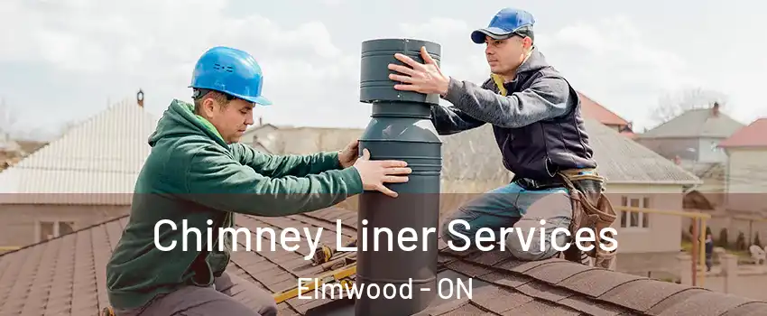 Chimney Liner Services Elmwood - ON