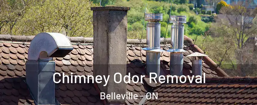 Chimney Odor Removal Belleville - ON