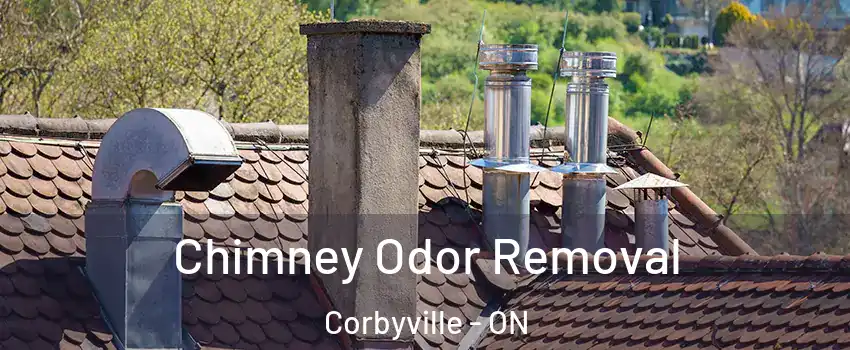  Chimney Odor Removal Corbyville - ON
