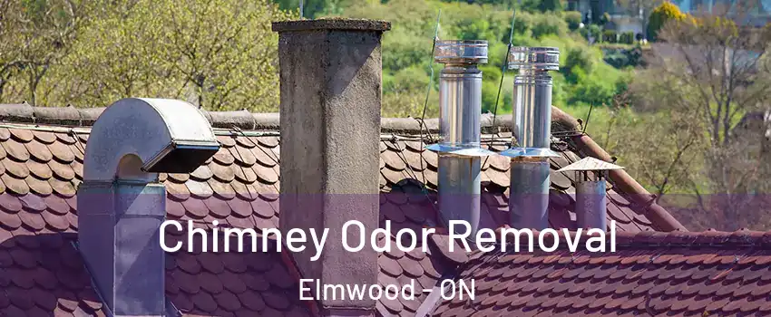  Chimney Odor Removal Elmwood - ON