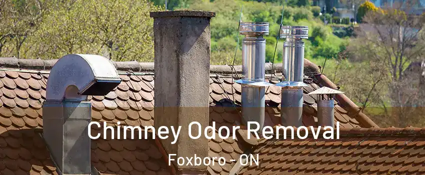 Chimney Odor Removal Foxboro - ON
