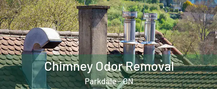  Chimney Odor Removal Parkdale - ON