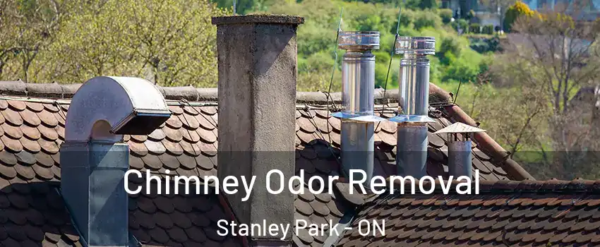  Chimney Odor Removal Stanley Park - ON