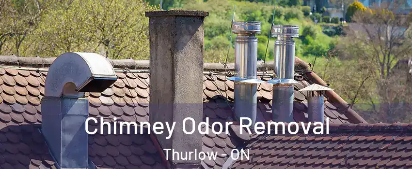  Chimney Odor Removal Thurlow - ON
