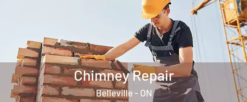  Chimney Repair Belleville - ON