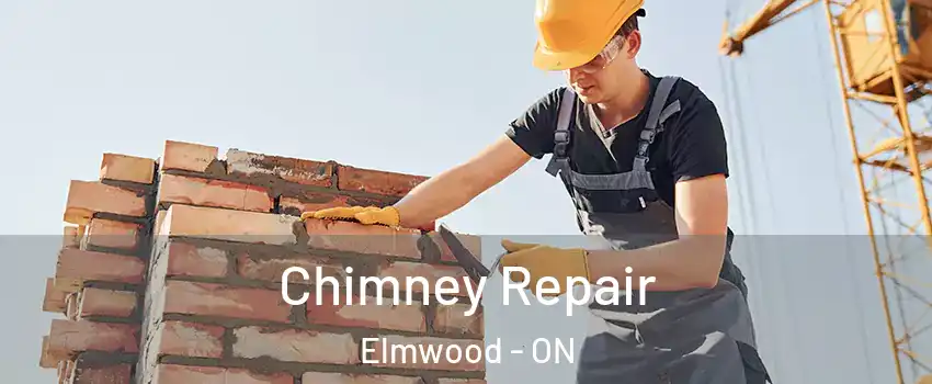  Chimney Repair Elmwood - ON