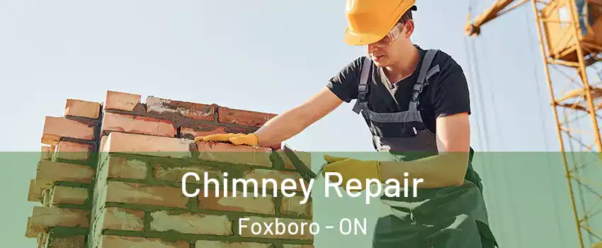  Chimney Repair Foxboro - ON