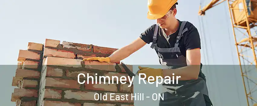  Chimney Repair Old East Hill - ON