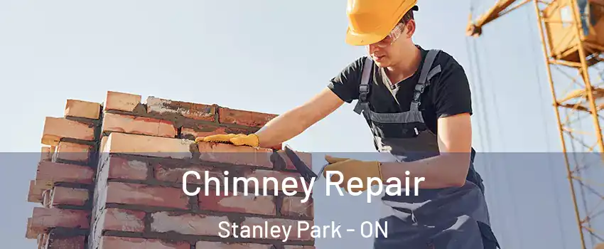  Chimney Repair Stanley Park - ON