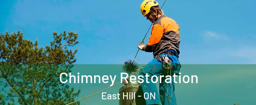  Chimney Restoration East Hill - ON
