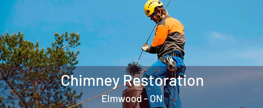  Chimney Restoration Elmwood - ON