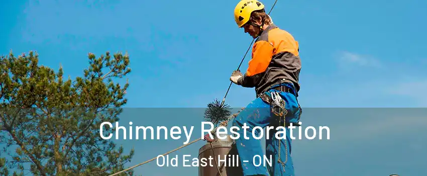  Chimney Restoration Old East Hill - ON