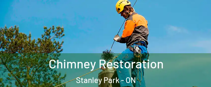  Chimney Restoration Stanley Park - ON
