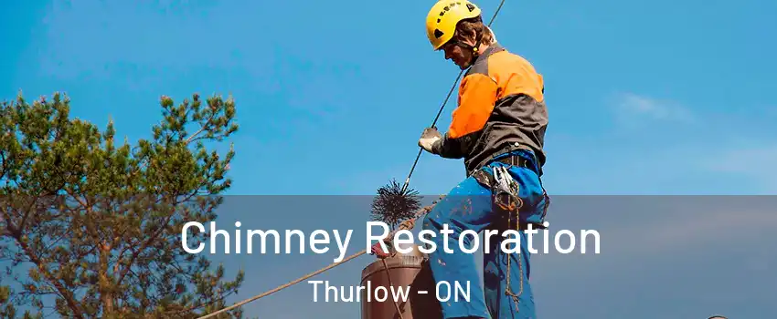  Chimney Restoration Thurlow - ON