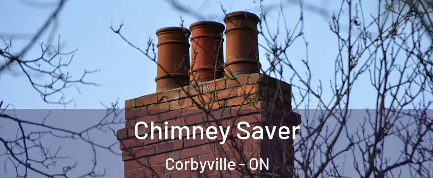  Chimney Saver Corbyville - ON