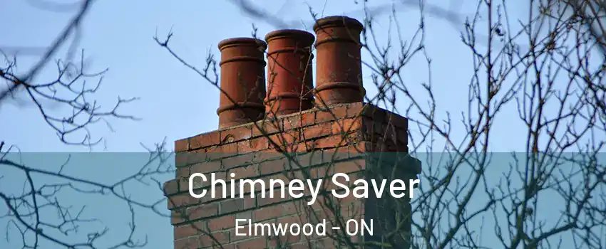  Chimney Saver Elmwood - ON