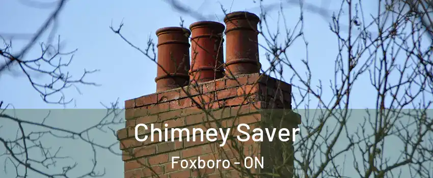  Chimney Saver Foxboro - ON