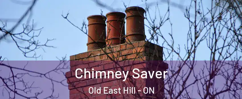  Chimney Saver Old East Hill - ON