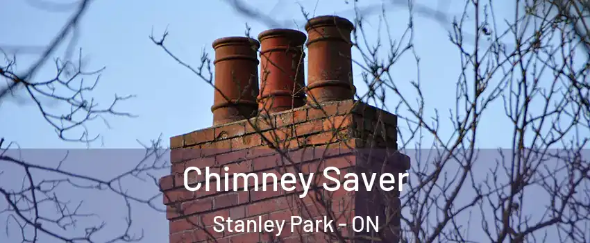 Chimney Saver Stanley Park - ON