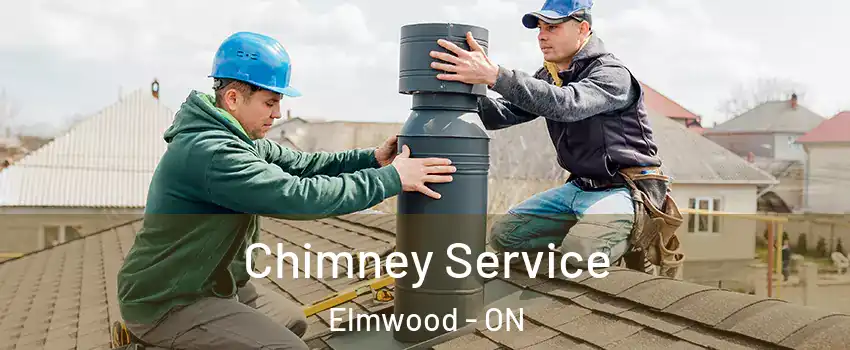  Chimney Service Elmwood - ON