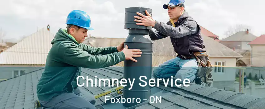  Chimney Service Foxboro - ON