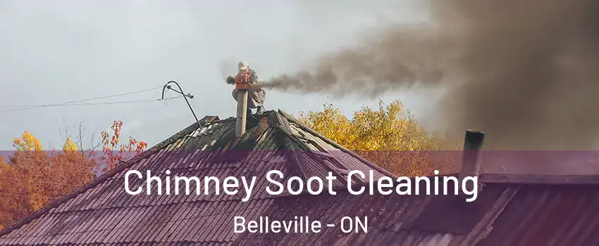  Chimney Soot Cleaning Belleville - ON