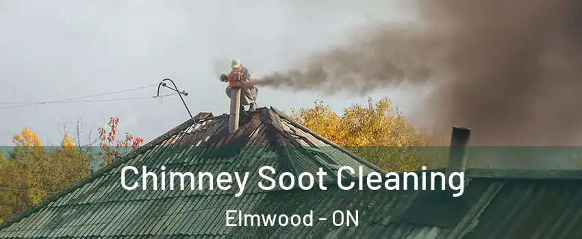  Chimney Soot Cleaning Elmwood - ON