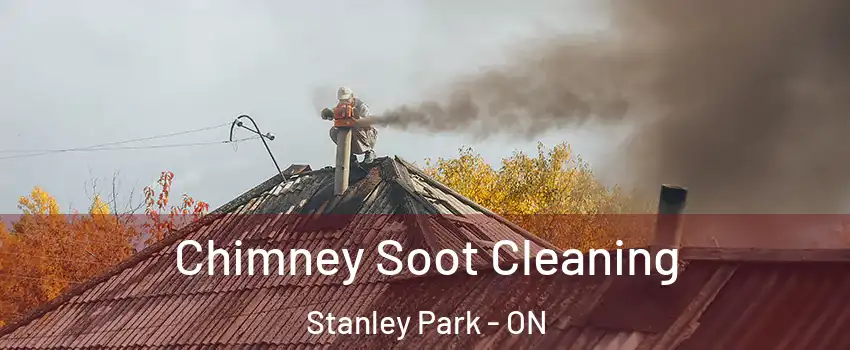  Chimney Soot Cleaning Stanley Park - ON