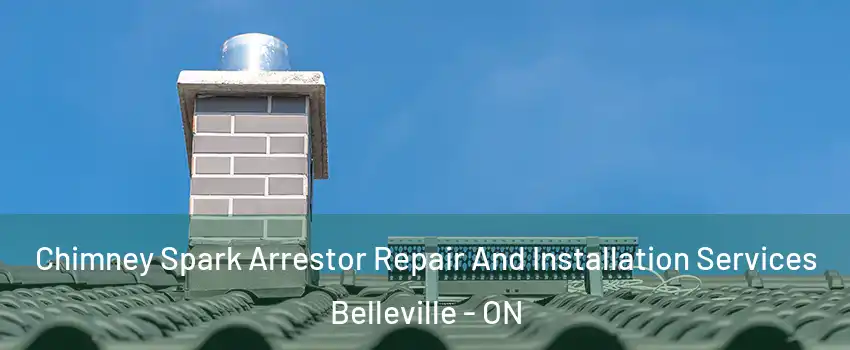 Chimney Spark Arrestor Repair And Installation Services Belleville - ON