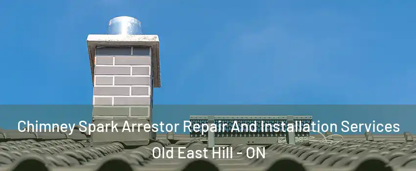  Chimney Spark Arrestor Repair And Installation Services Old East Hill - ON