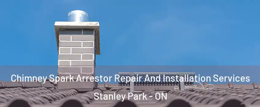  Chimney Spark Arrestor Repair And Installation Services Stanley Park - ON