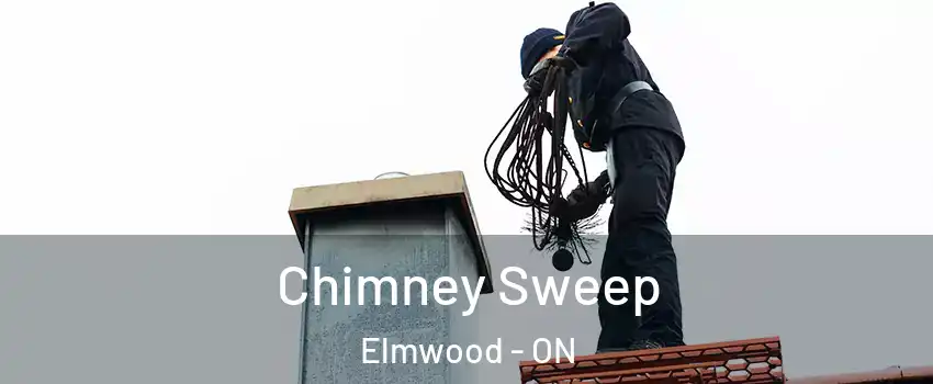  Chimney Sweep Elmwood - ON