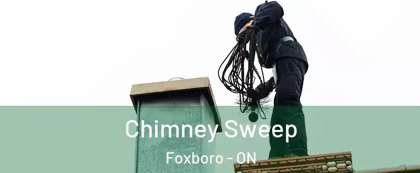 Chimney Sweep Foxboro - ON