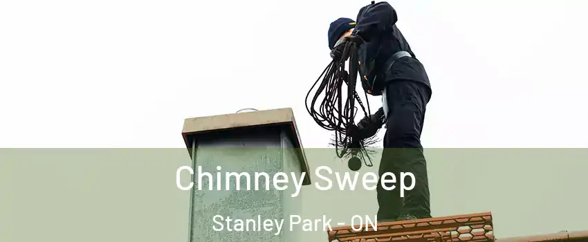  Chimney Sweep Stanley Park - ON
