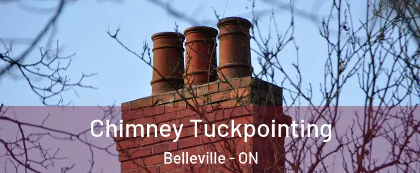  Chimney Tuckpointing Belleville - ON