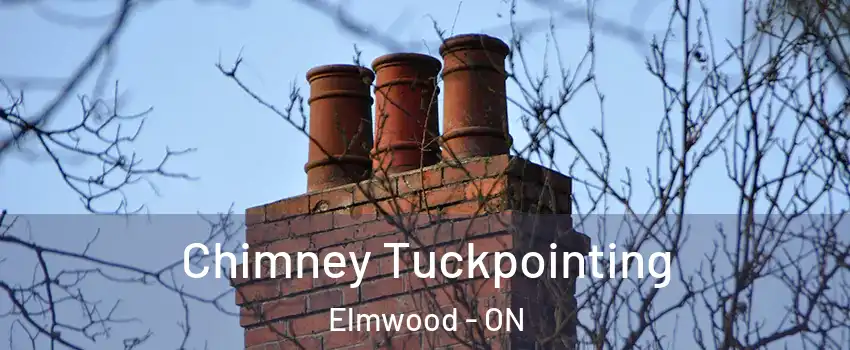  Chimney Tuckpointing Elmwood - ON