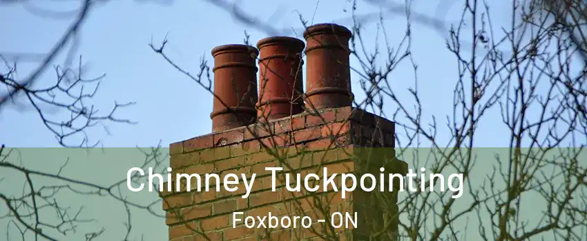 Chimney Tuckpointing Foxboro - ON